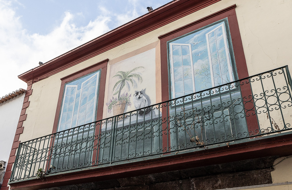 Zona Velha da Cidade: Rua de Santa Maria Funchal