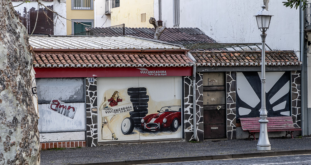 Zona Velha da Cidade: Rua de Dom Carlos I Funchal