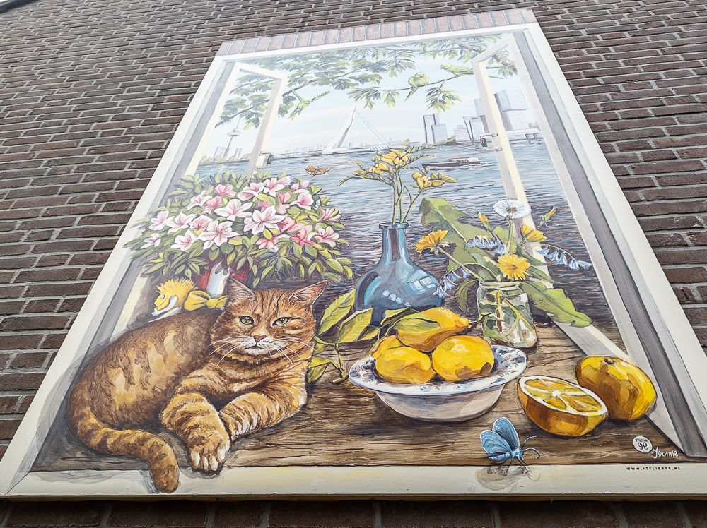 Breitnerstraat Rotterdam