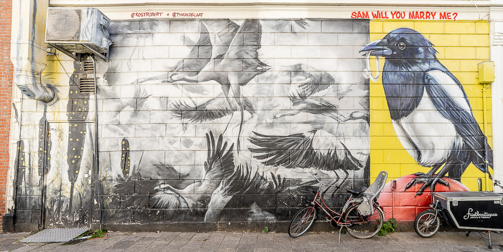 Boomgaardsstraat Rotterdam