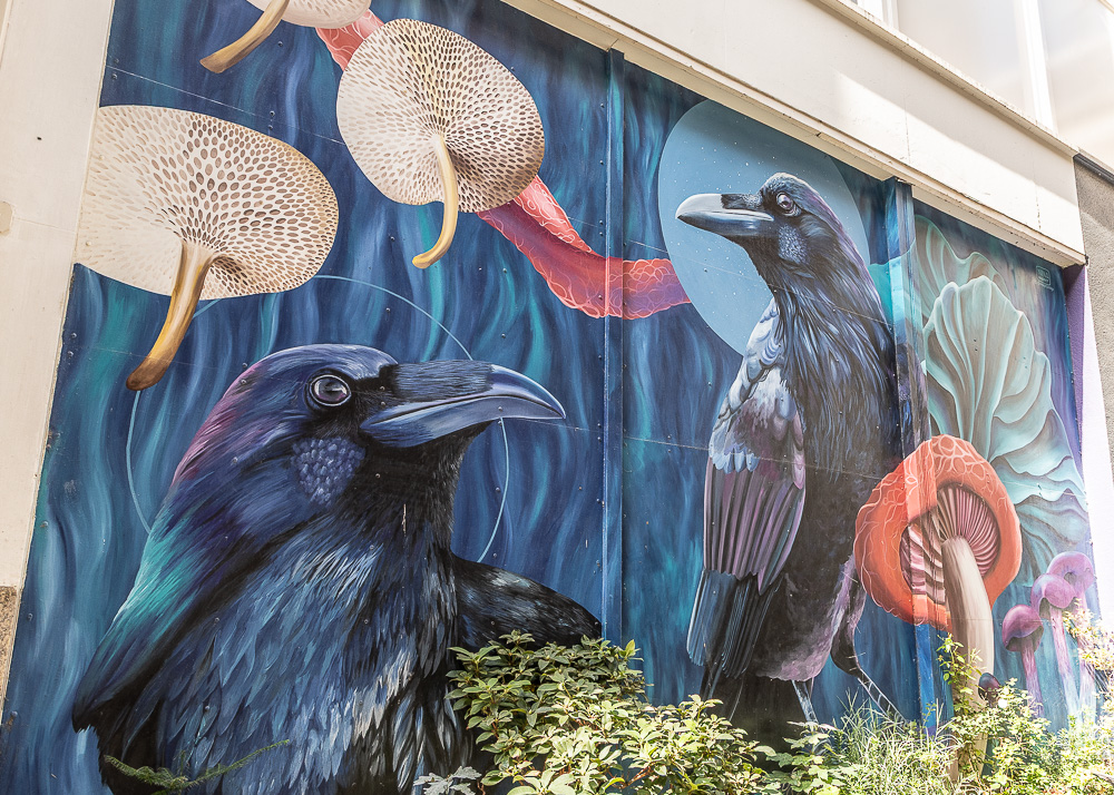 Achterom: Ravens Den Haag