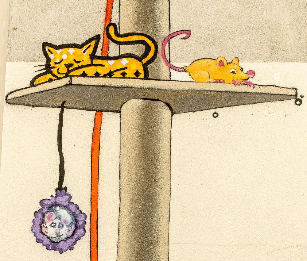 Achterom: Kattensteeg Den Haag