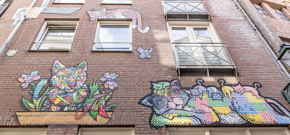 Achterom: Kattensteeg Den Haag