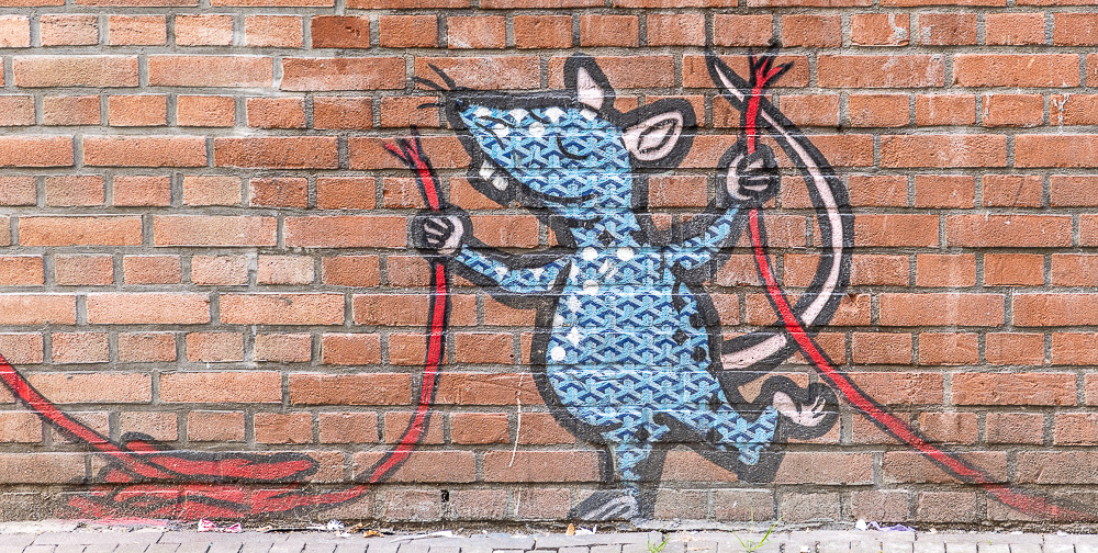 Achterom: Kattensteeg Den Haag