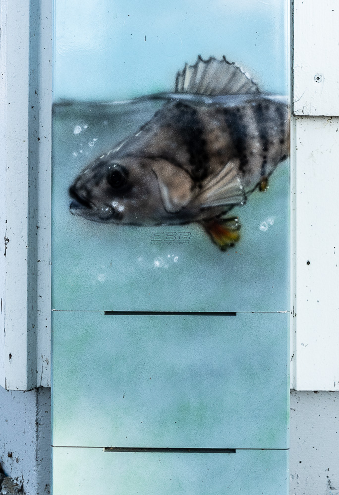 Unteruhldingen: Seepromenade Uhldingen-Mühlhofen