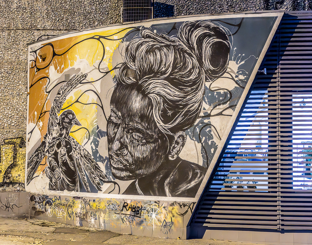 Strada Veronica Micle Chișinău