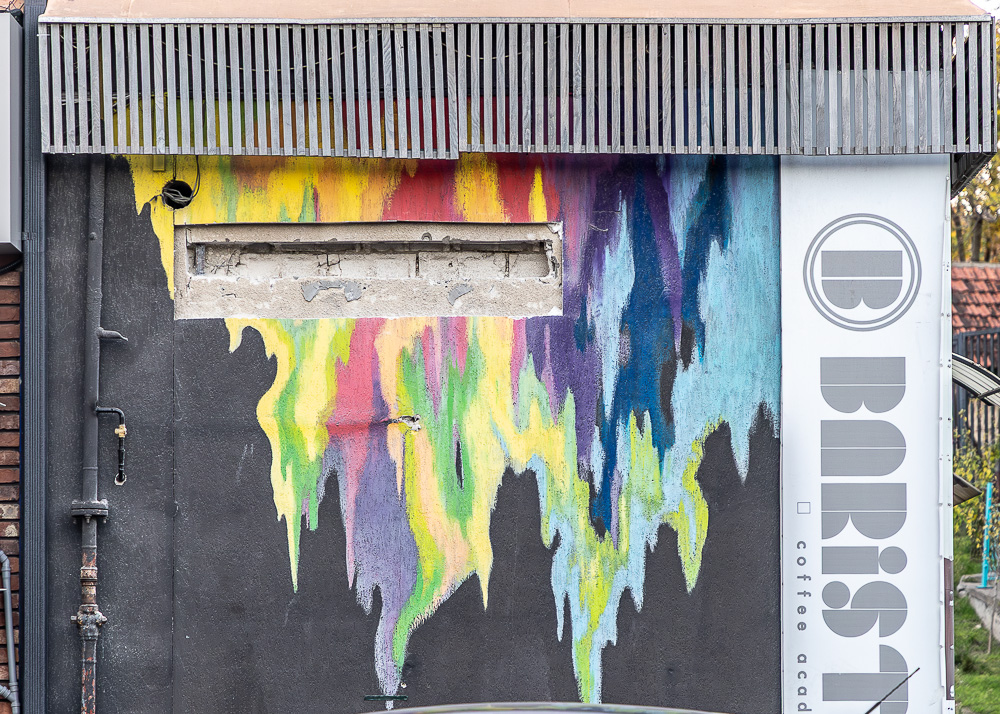 Strada Petru Rareș Chișinău