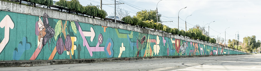 Șoseaua Hâncești Chișinău