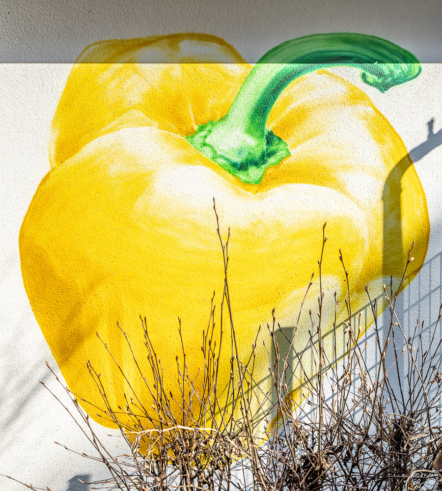 Levelingstraße München