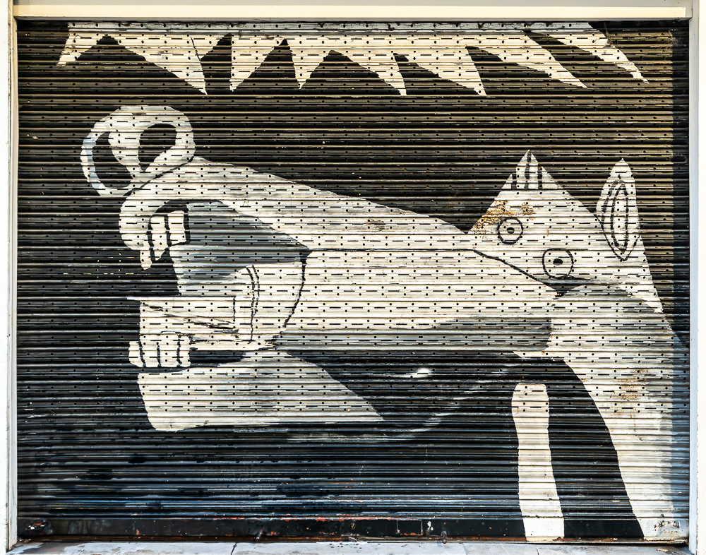  Pamplona
