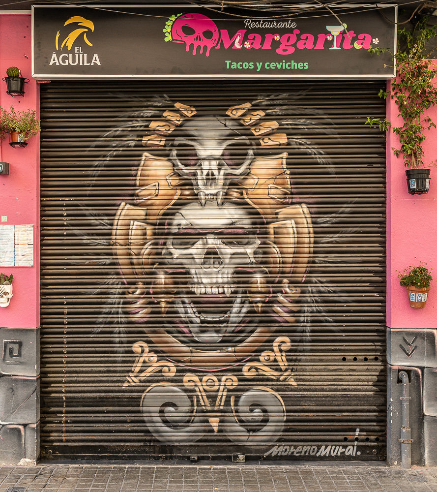 Calle Pintor Zariñena Valencia