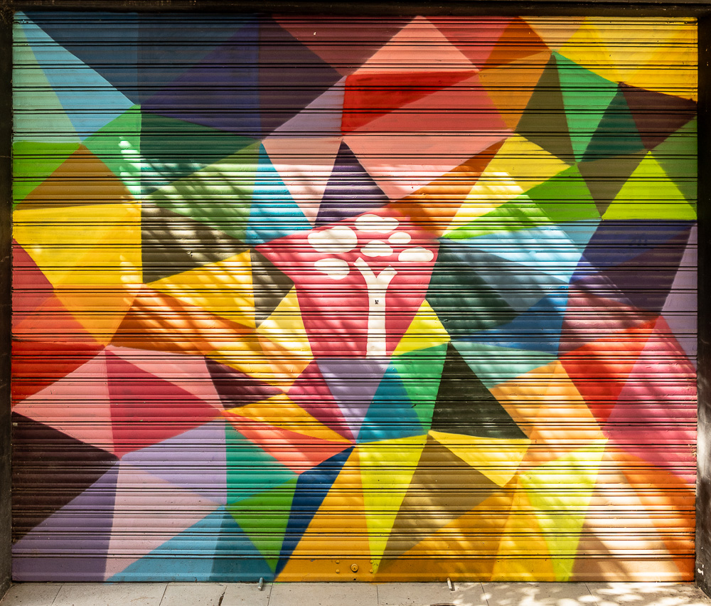 Calle Museo Valencia