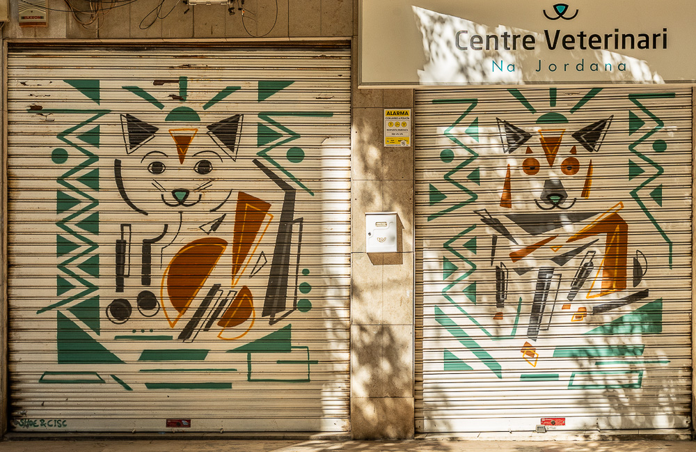 Calle de Salvador Giner Valencia