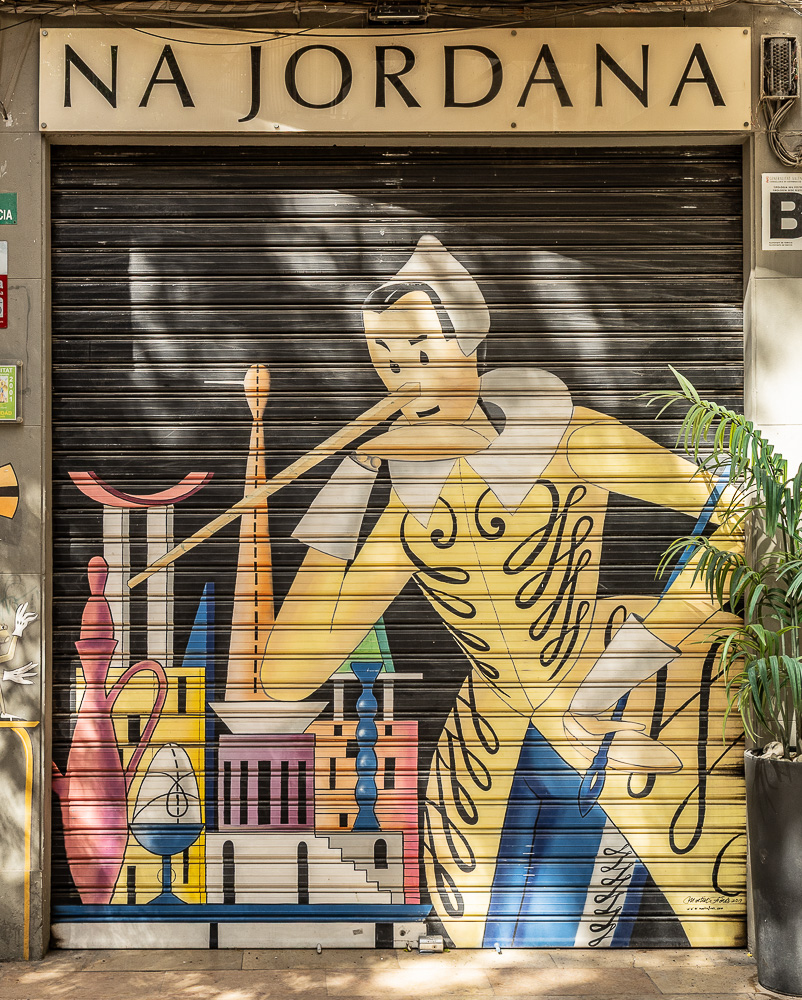 Calle de Salvador Giner Valencia