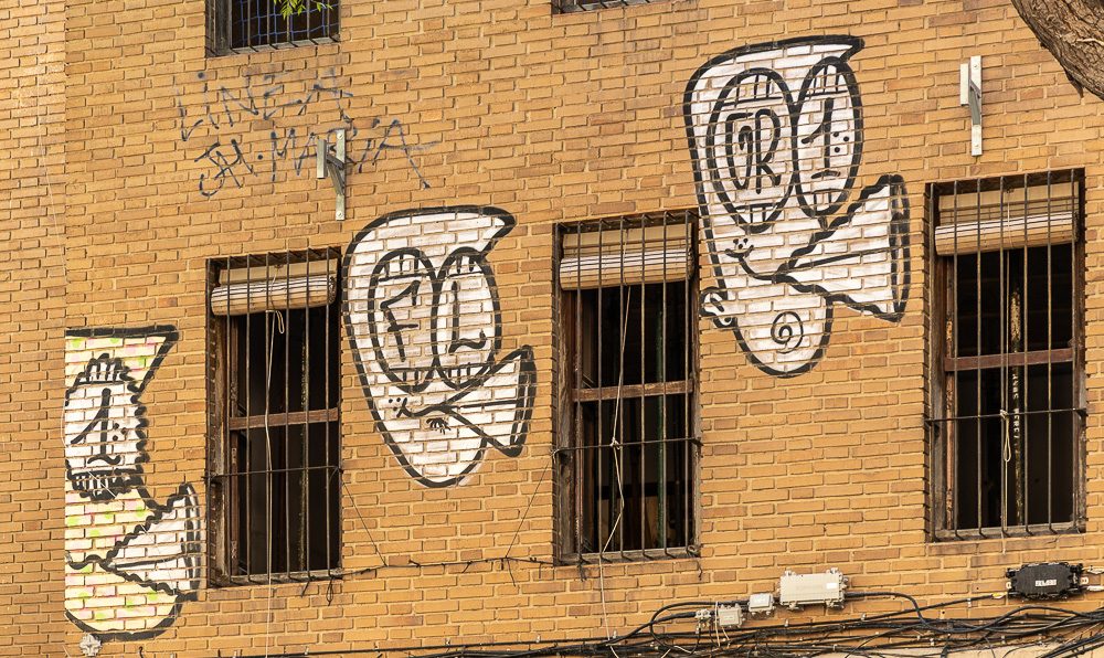 Calle de Salvador Giner Valencia